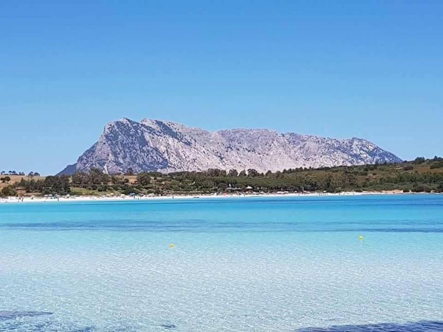 Amazing House 10 Min By Car From The Beach Olbia Luaran gambar