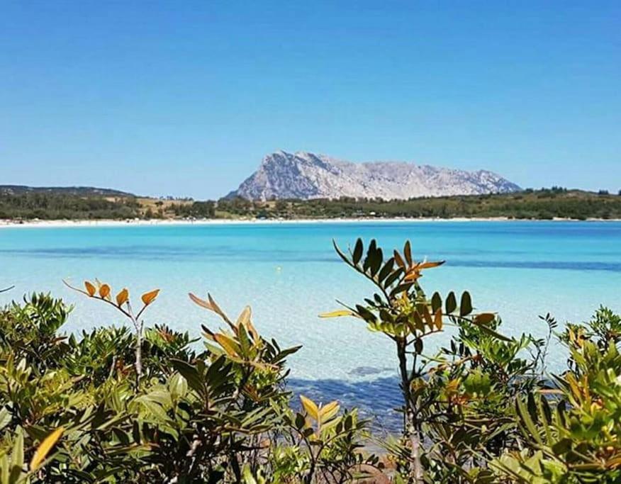 Amazing House 10 Min By Car From The Beach Olbia Luaran gambar