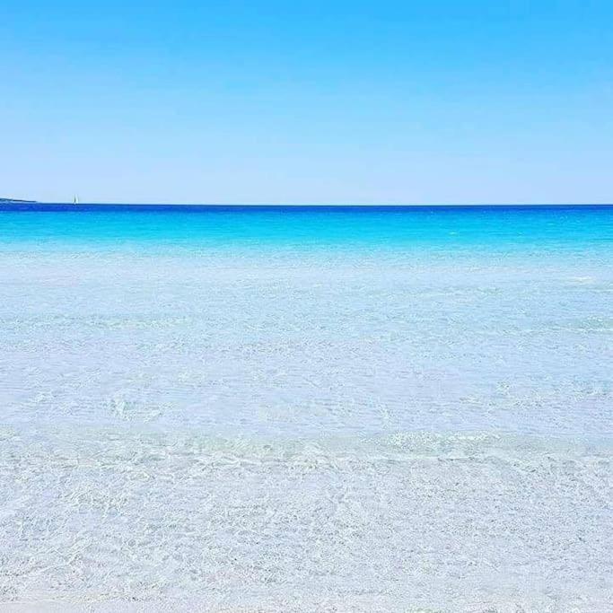 Amazing House 10 Min By Car From The Beach Olbia Luaran gambar