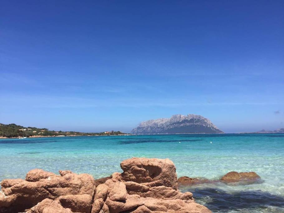 Amazing House 10 Min By Car From The Beach Olbia Luaran gambar