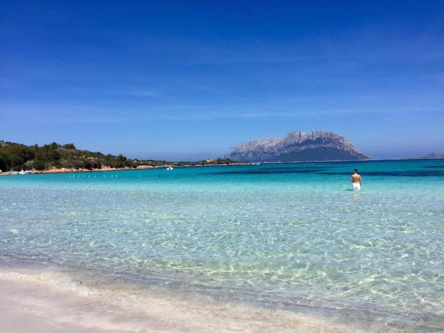 Amazing House 10 Min By Car From The Beach Olbia Luaran gambar